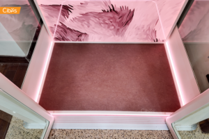single-person home elevator Philippines